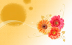 Flower Wallpapers new 4